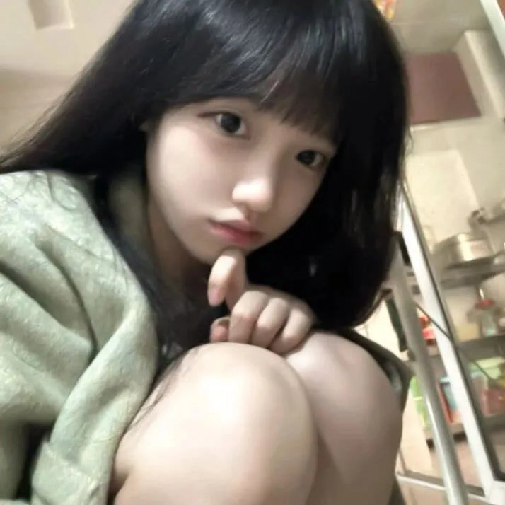 科搜研之女2022